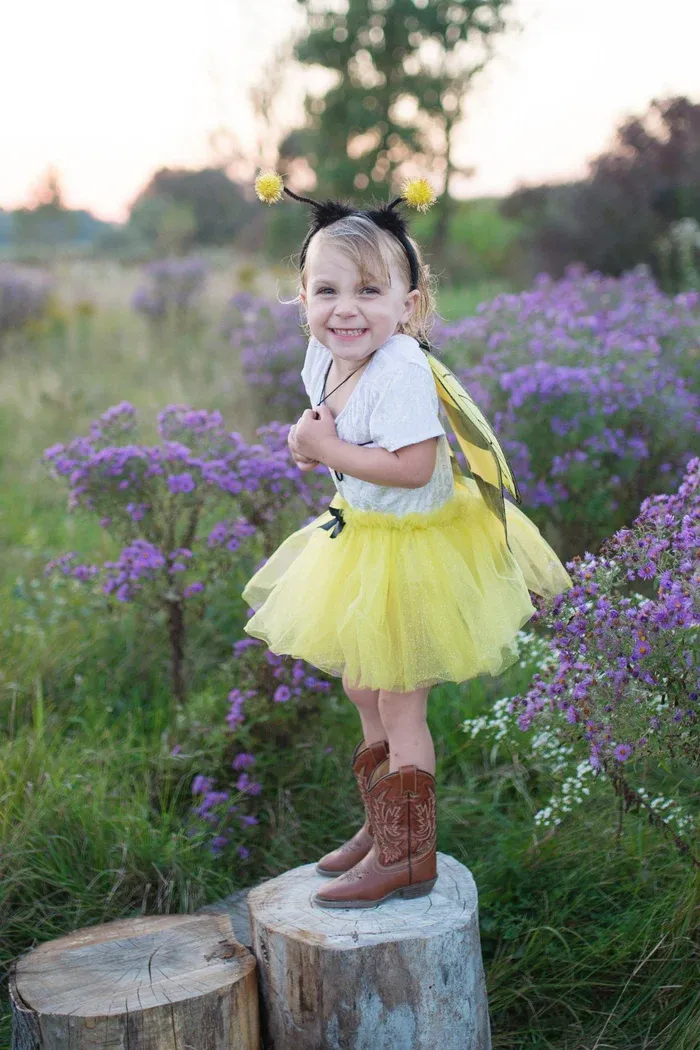Great Pretenders Glitter Bumble Bee Set