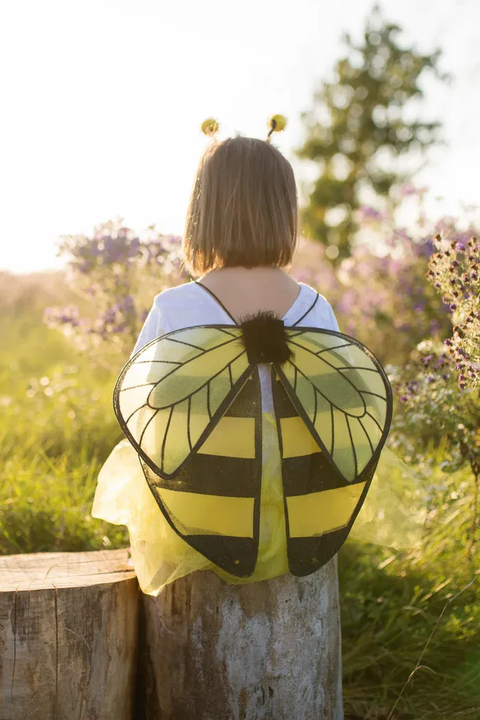 Great Pretenders Glitter Bumble Bee Set